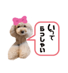 うちの可愛い姫たちの会話☆（個別スタンプ：5）