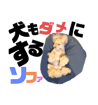 うちの可愛い姫たちの会話☆（個別スタンプ：8）