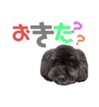 うちの可愛い姫たちの会話☆（個別スタンプ：24）