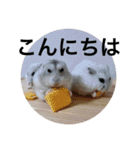 ズリとパン粉が主役のスタンプ（個別スタンプ：2）