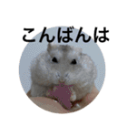 ズリとパン粉が主役のスタンプ（個別スタンプ：3）
