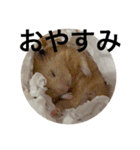 ズリとパン粉が主役のスタンプ（個別スタンプ：4）