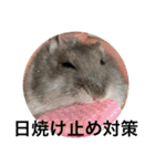 ズリとパン粉が主役のスタンプ（個別スタンプ：8）