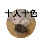 ズリとパン粉が主役のスタンプ（個別スタンプ：9）