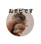 ズリとパン粉が主役のスタンプ（個別スタンプ：14）