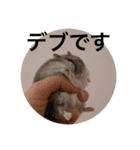 ズリとパン粉が主役のスタンプ（個別スタンプ：15）