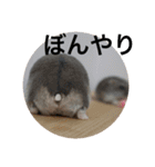 ズリとパン粉が主役のスタンプ（個別スタンプ：17）