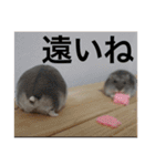 ズリとパン粉が主役のスタンプ（個別スタンプ：19）