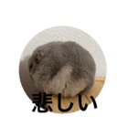 ズリとパン粉が主役のスタンプ（個別スタンプ：21）