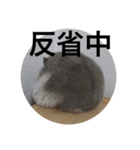 ズリとパン粉が主役のスタンプ（個別スタンプ：22）