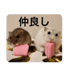 ズリとパン粉が主役のスタンプ（個別スタンプ：25）