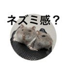 ズリとパン粉が主役のスタンプ（個別スタンプ：26）