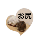 ズリとパン粉が主役のスタンプ（個別スタンプ：27）