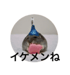 ズリとパン粉が主役のスタンプ（個別スタンプ：29）
