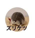 ズリとパン粉が主役のスタンプ（個別スタンプ：30）