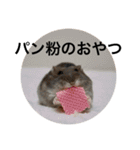 ズリとパン粉が主役のスタンプ（個別スタンプ：31）