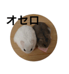 ズリとパン粉が主役のスタンプ（個別スタンプ：39）