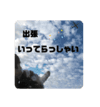ミニチュアシュナウザーごまくま（個別スタンプ：4）