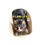 はじめときなこ。2（個別スタンプ：7）