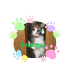 はじめときなこ。2（個別スタンプ：21）