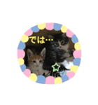 はじめときなこ。2（個別スタンプ：22）