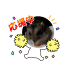ハムスターのリュウちゃん2（個別スタンプ：1）