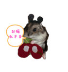 ハムスターのリュウちゃん2（個別スタンプ：7）