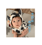 1115ガックン（個別スタンプ：1）