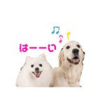 るび ＆ にっき（個別スタンプ：1）