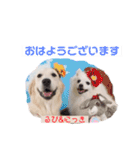 るび ＆ にっき（個別スタンプ：4）