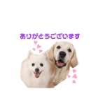 るび ＆ にっき（個別スタンプ：5）