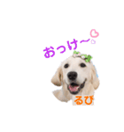 るび ＆ にっき（個別スタンプ：6）
