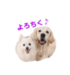 るび ＆ にっき（個別スタンプ：8）