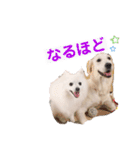 るび ＆ にっき（個別スタンプ：9）