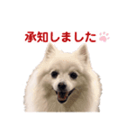 るび ＆ にっき（個別スタンプ：10）