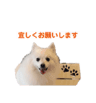 るび ＆ にっき（個別スタンプ：11）