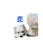 るび ＆ にっき（個別スタンプ：13）