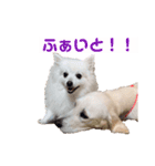 るび ＆ にっき（個別スタンプ：14）