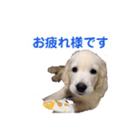 るび ＆ にっき（個別スタンプ：15）