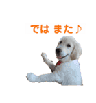 るび ＆ にっき（個別スタンプ：16）