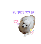 るび ＆ にっき（個別スタンプ：19）
