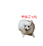 るび ＆ にっき（個別スタンプ：20）