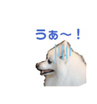 るび ＆ にっき（個別スタンプ：21）