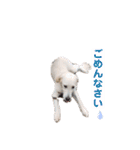 るび ＆ にっき（個別スタンプ：23）