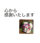大きな文字と花でLINEにチャレンジ（個別スタンプ：1）
