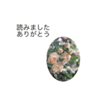 大きな文字と花でLINEにチャレンジ（個別スタンプ：3）