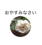 大きな文字と花でLINEにチャレンジ（個別スタンプ：7）
