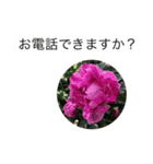 大きな文字と花でLINEにチャレンジ（個別スタンプ：8）