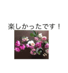 大きな文字と花でLINEにチャレンジ（個別スタンプ：10）