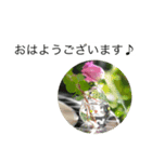 大きな文字と花でLINEにチャレンジ（個別スタンプ：14）